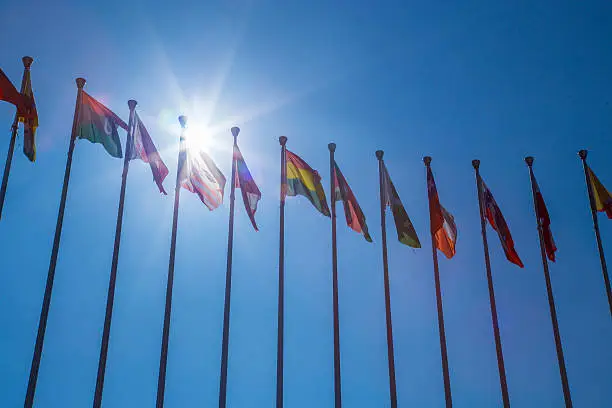G20